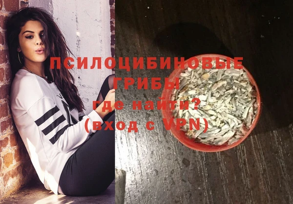 дурь Инта