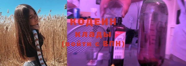 дурь Инта