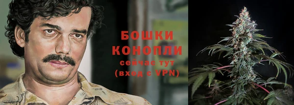 дурь Инта