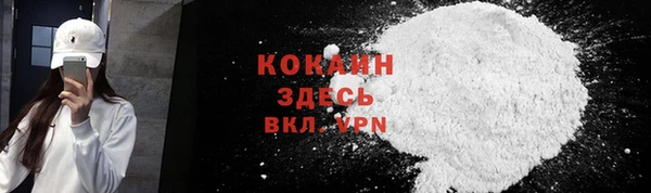 дурь Инта