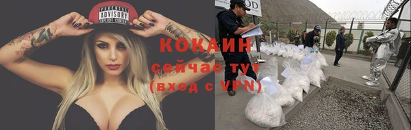 дурь Инта