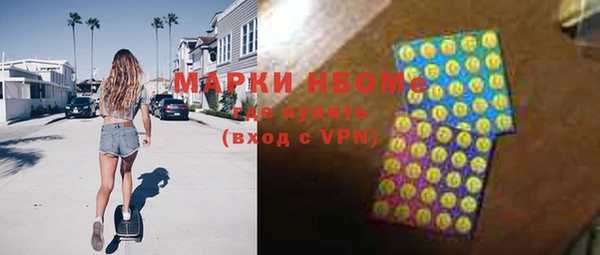дурь Инта