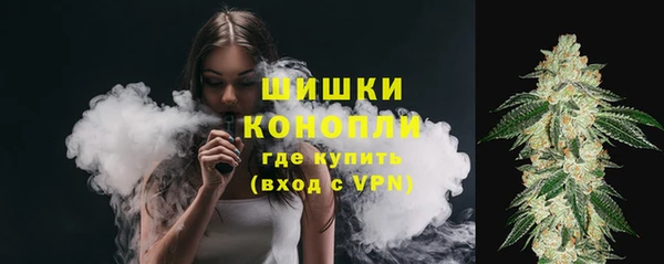 дурь Инта