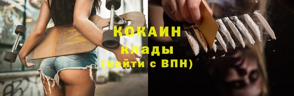 дурь Инта