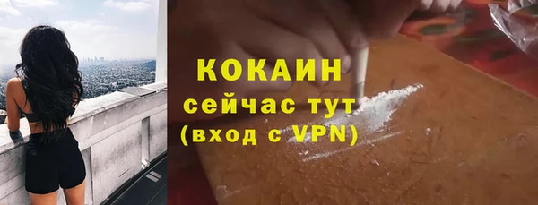 дурь Инта