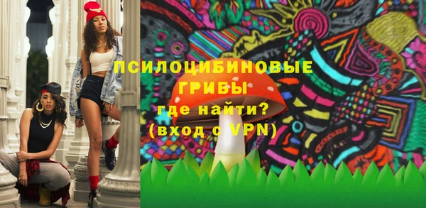 ALPHA-PVP Инсар