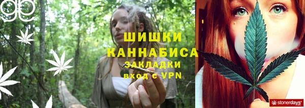 дурь Инта