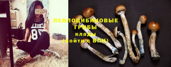 дурь Инта