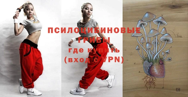 ALPHA-PVP Инсар