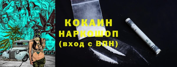 дурь Инта